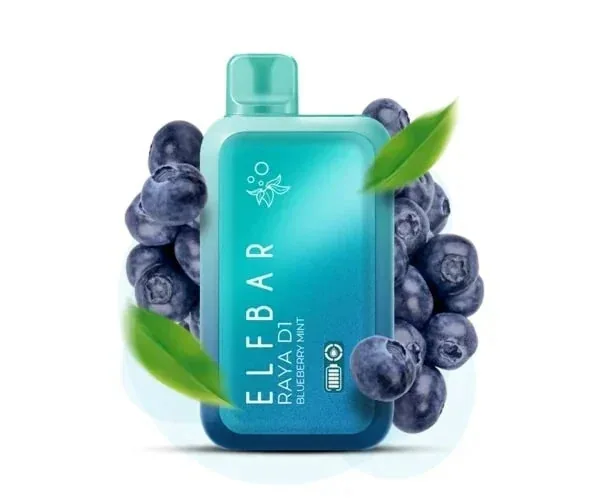 Elf Bar Raya D1 – Blueberry Mint by Elf Bar at Vape Shop Ahmedabad