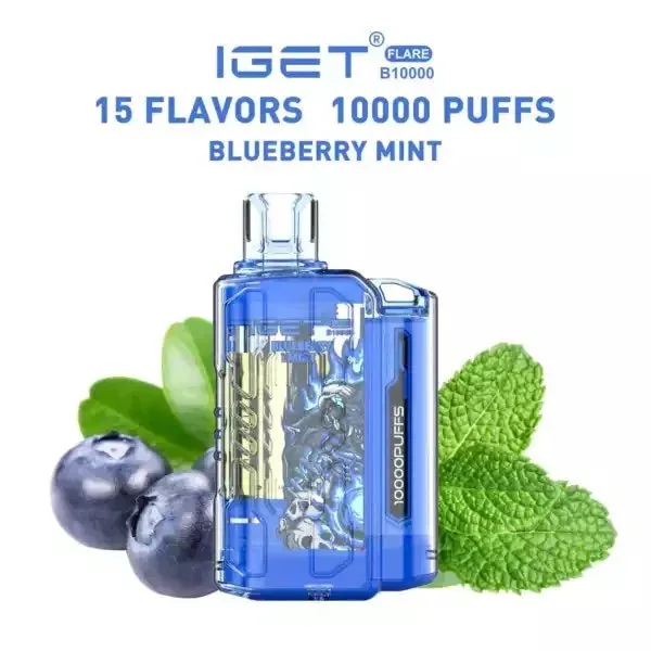 Iget Flare B10000 – Blueberry Mint by IGET at Vape Shop Ahmedabad