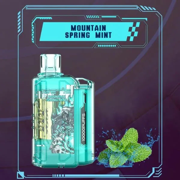 Iget Flare B10000 – Mountain Spring Mint by IGET at Vape Shop Ahmedabad